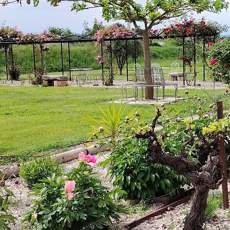 Gite En Provence "Rose" Modene Kültér fotó