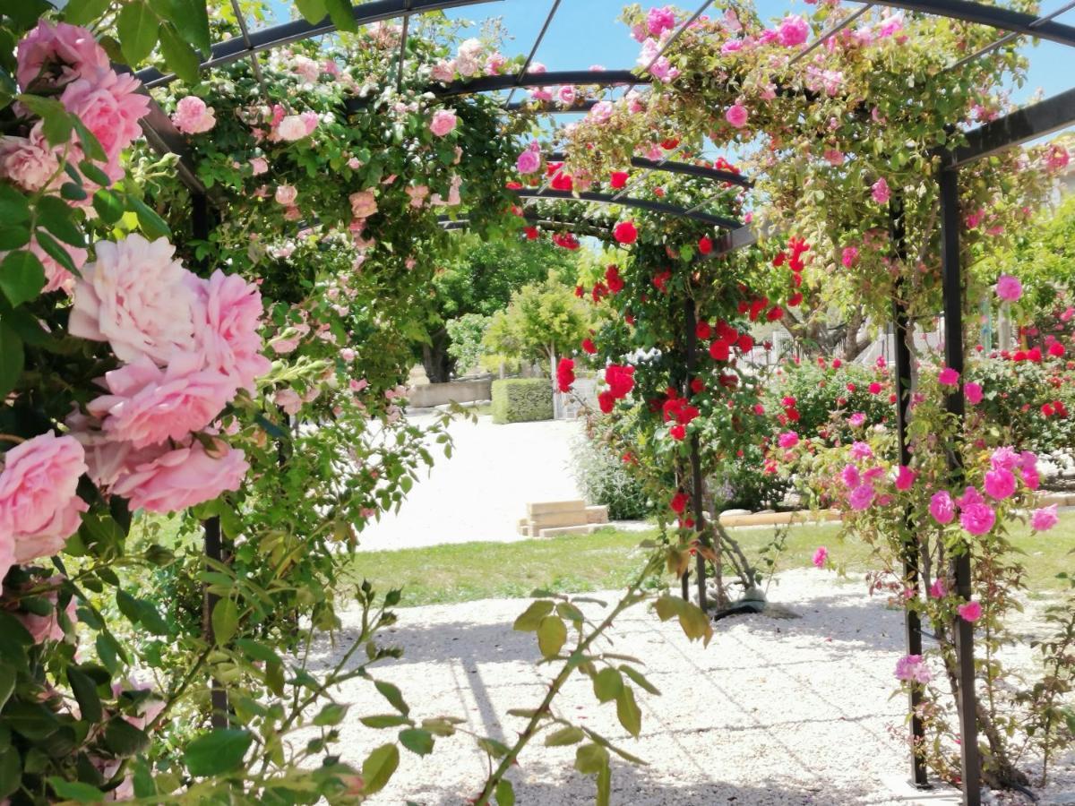 Gite En Provence "Rose" Modene Kültér fotó