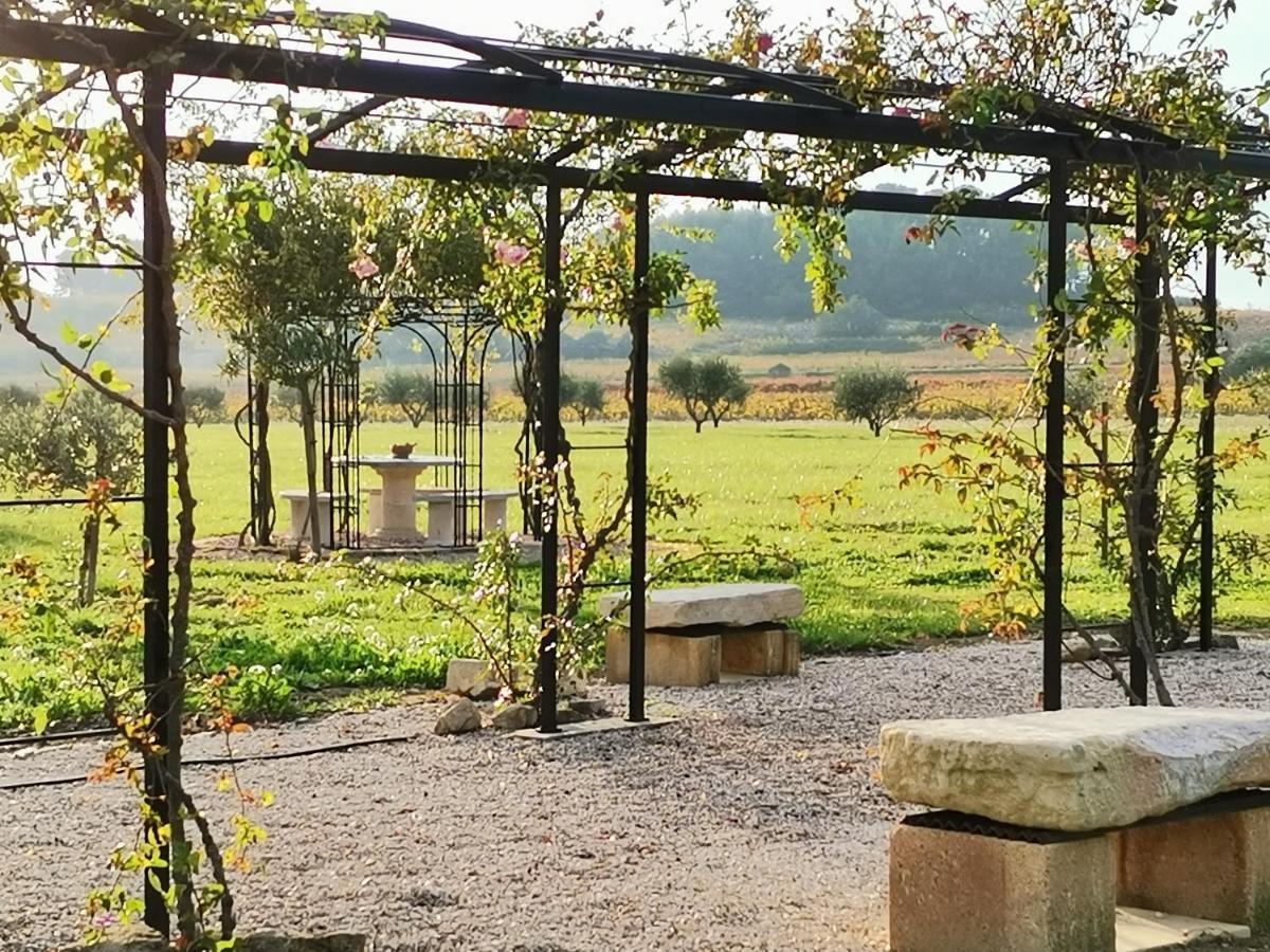 Gite En Provence "Rose" Modene Kültér fotó
