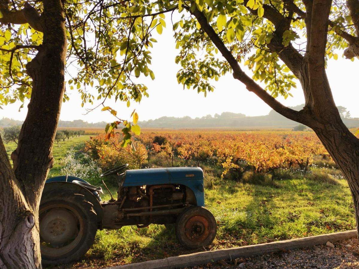 Gite En Provence "Rose" Modene Kültér fotó