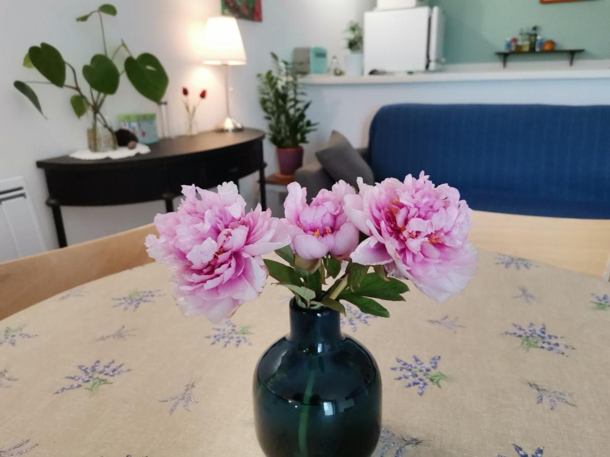 Gite En Provence "Rose" Modene Kültér fotó