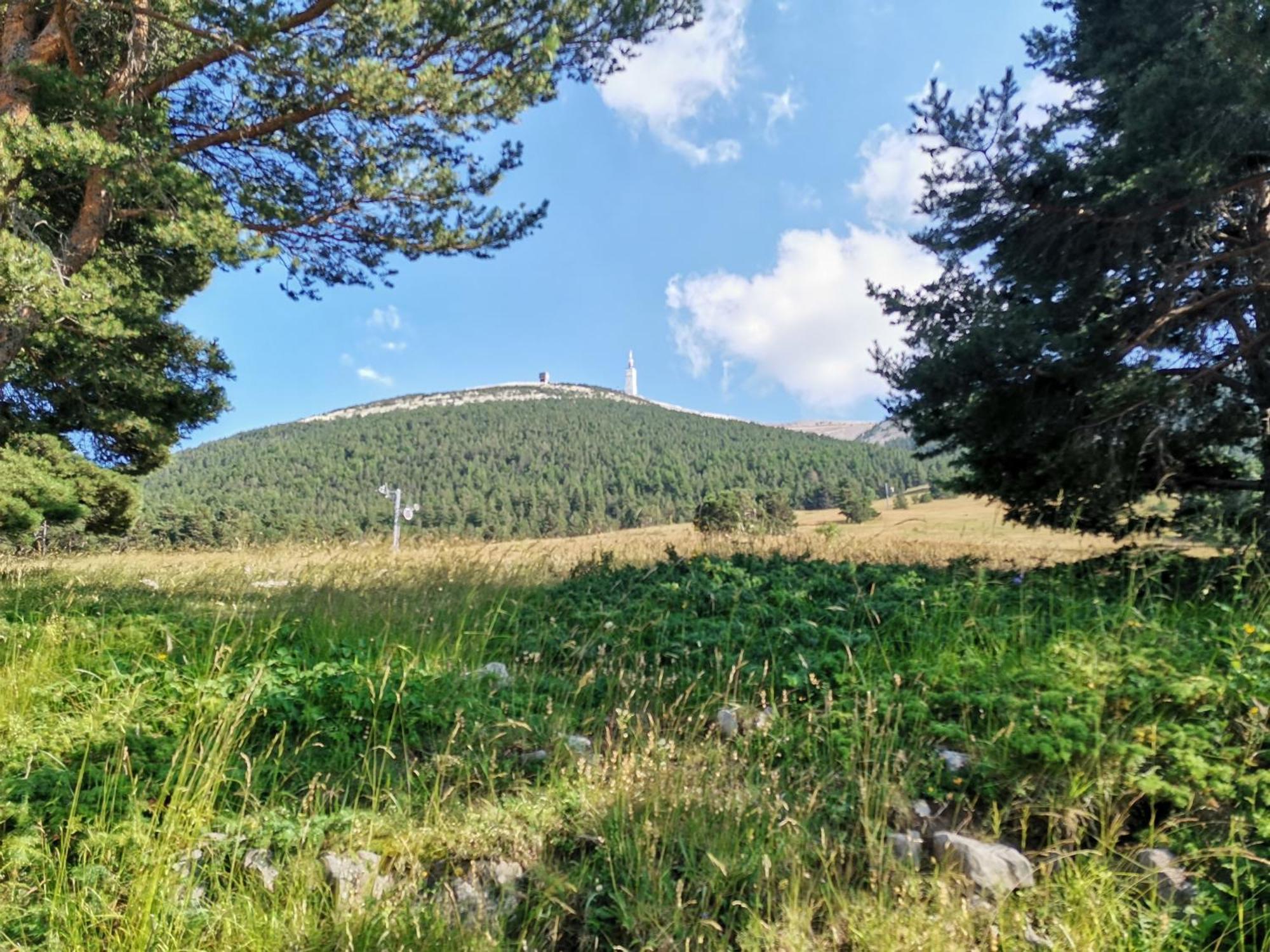 Gite En Provence "Rose" Modene Kültér fotó
