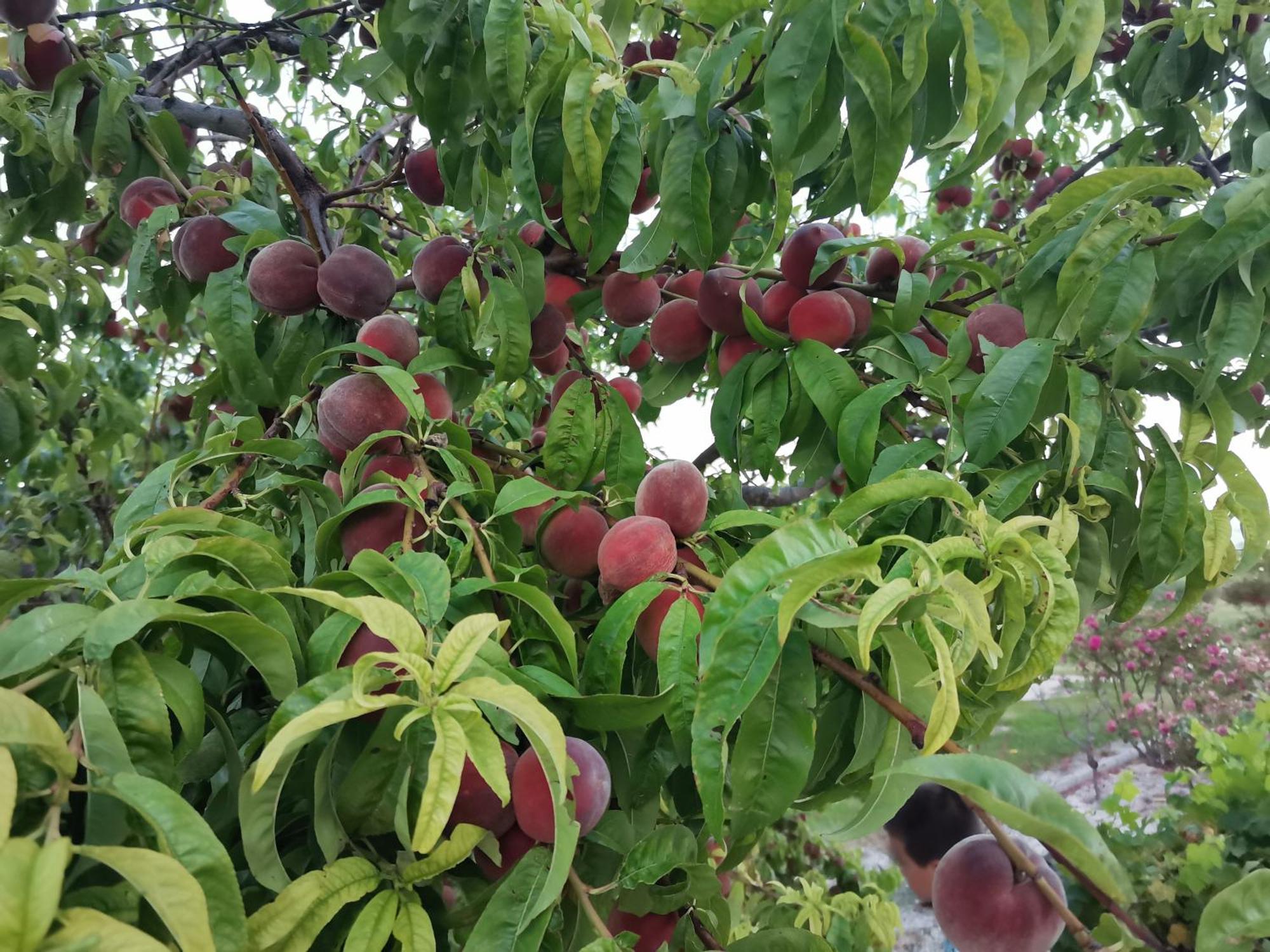 Gite En Provence "Rose" Modene Kültér fotó