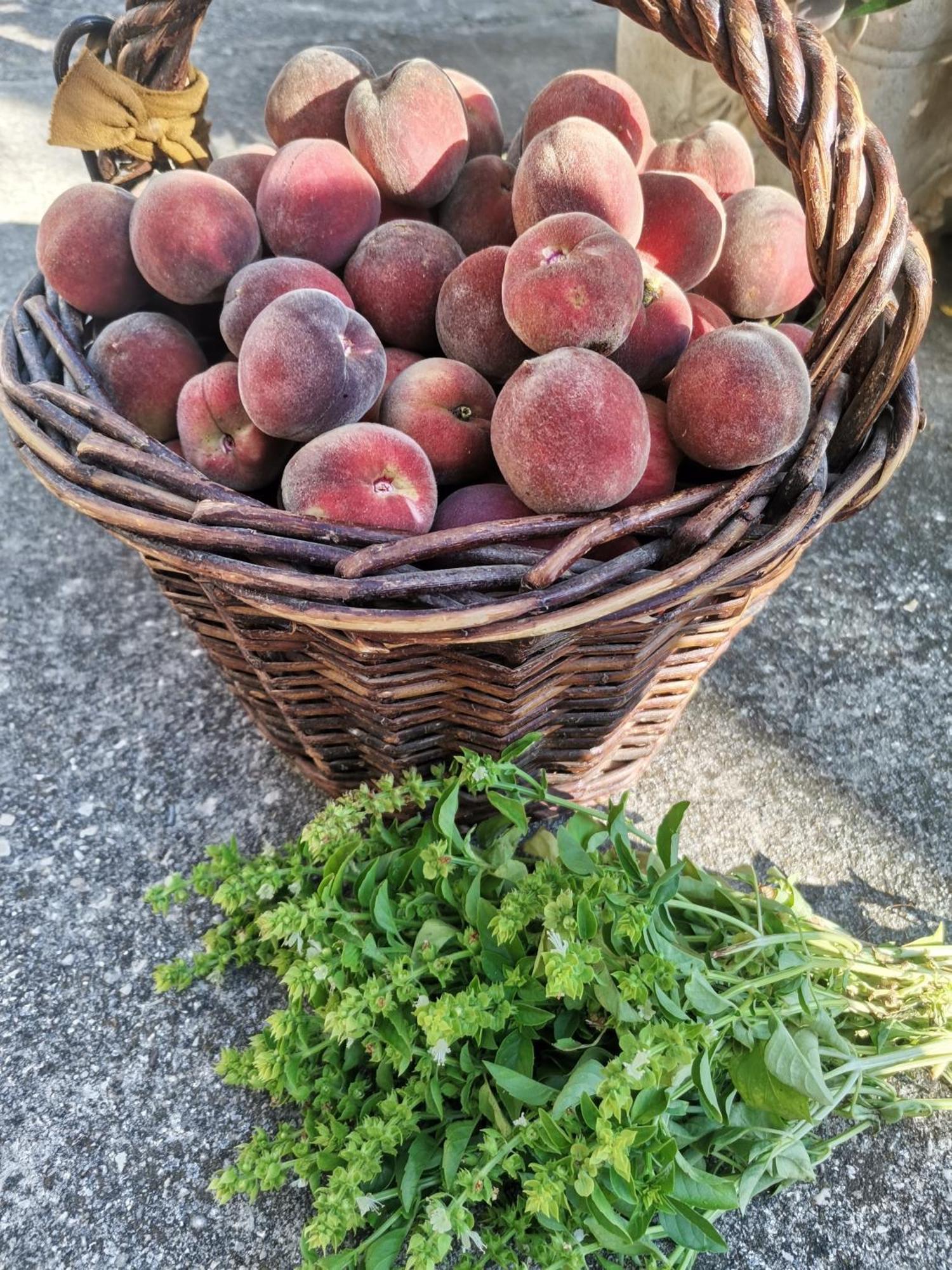 Gite En Provence "Rose" Modene Kültér fotó