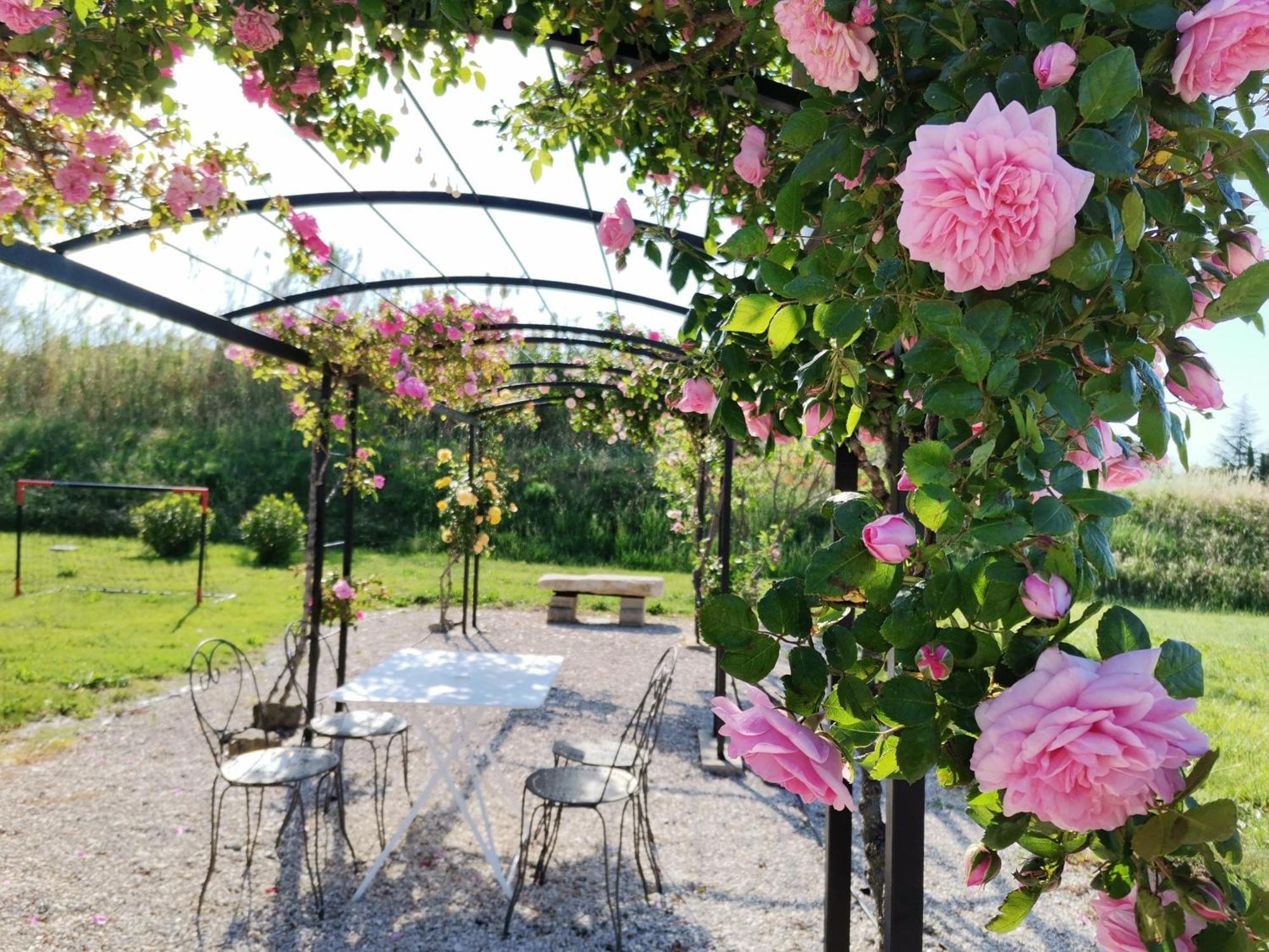 Gite En Provence "Rose" Modene Kültér fotó
