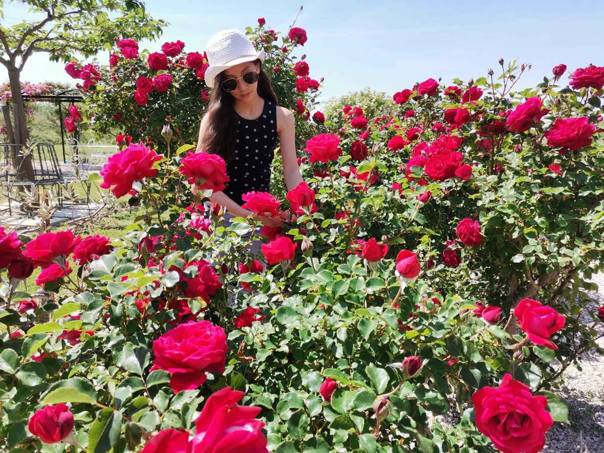 Gite En Provence "Rose" Modene Kültér fotó