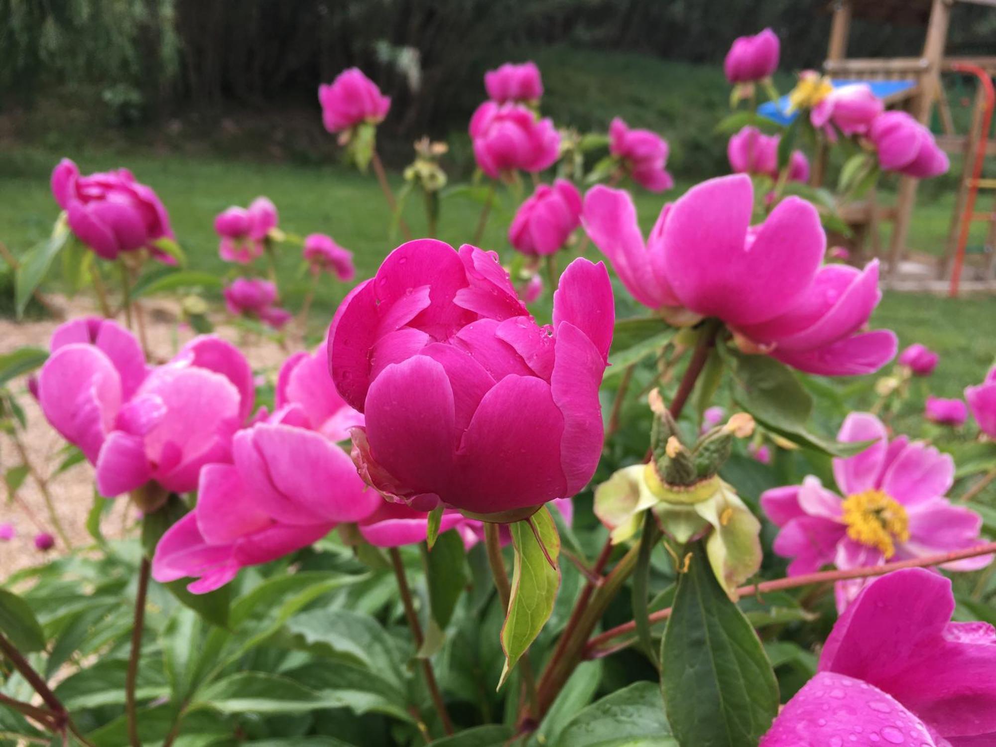 Gite En Provence "Rose" Modene Kültér fotó