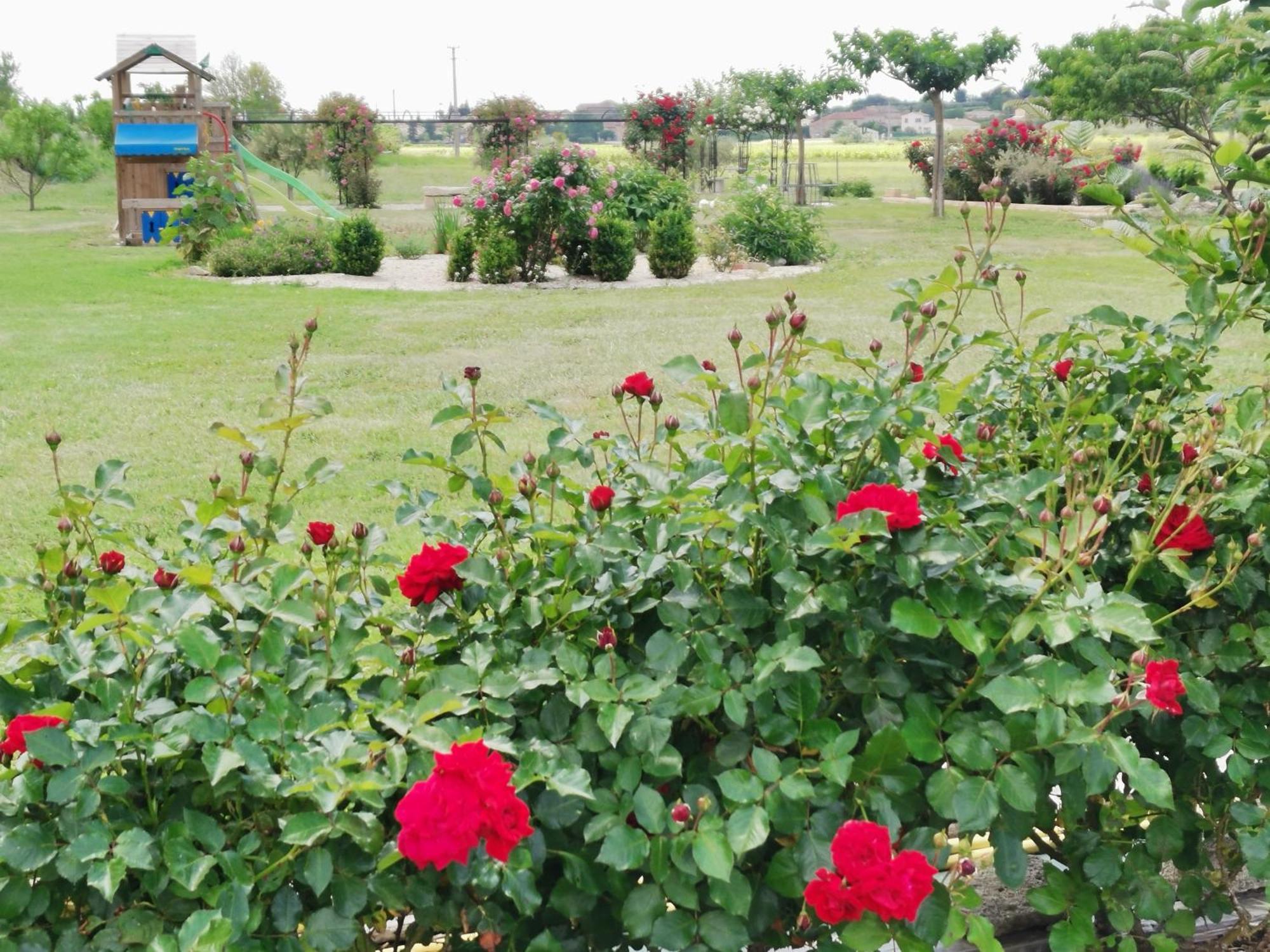 Gite En Provence "Rose" Modene Kültér fotó