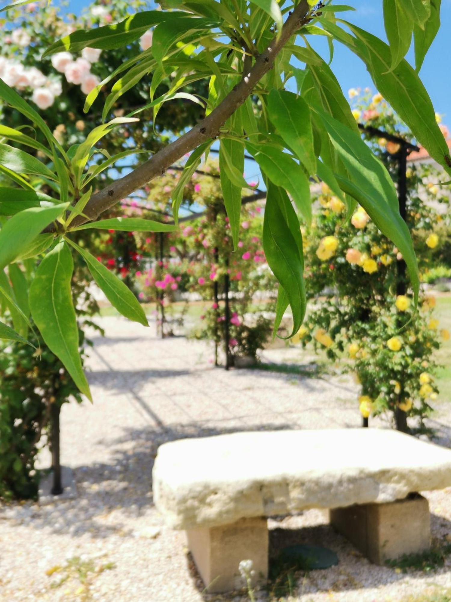 Gite En Provence "Rose" Modene Kültér fotó