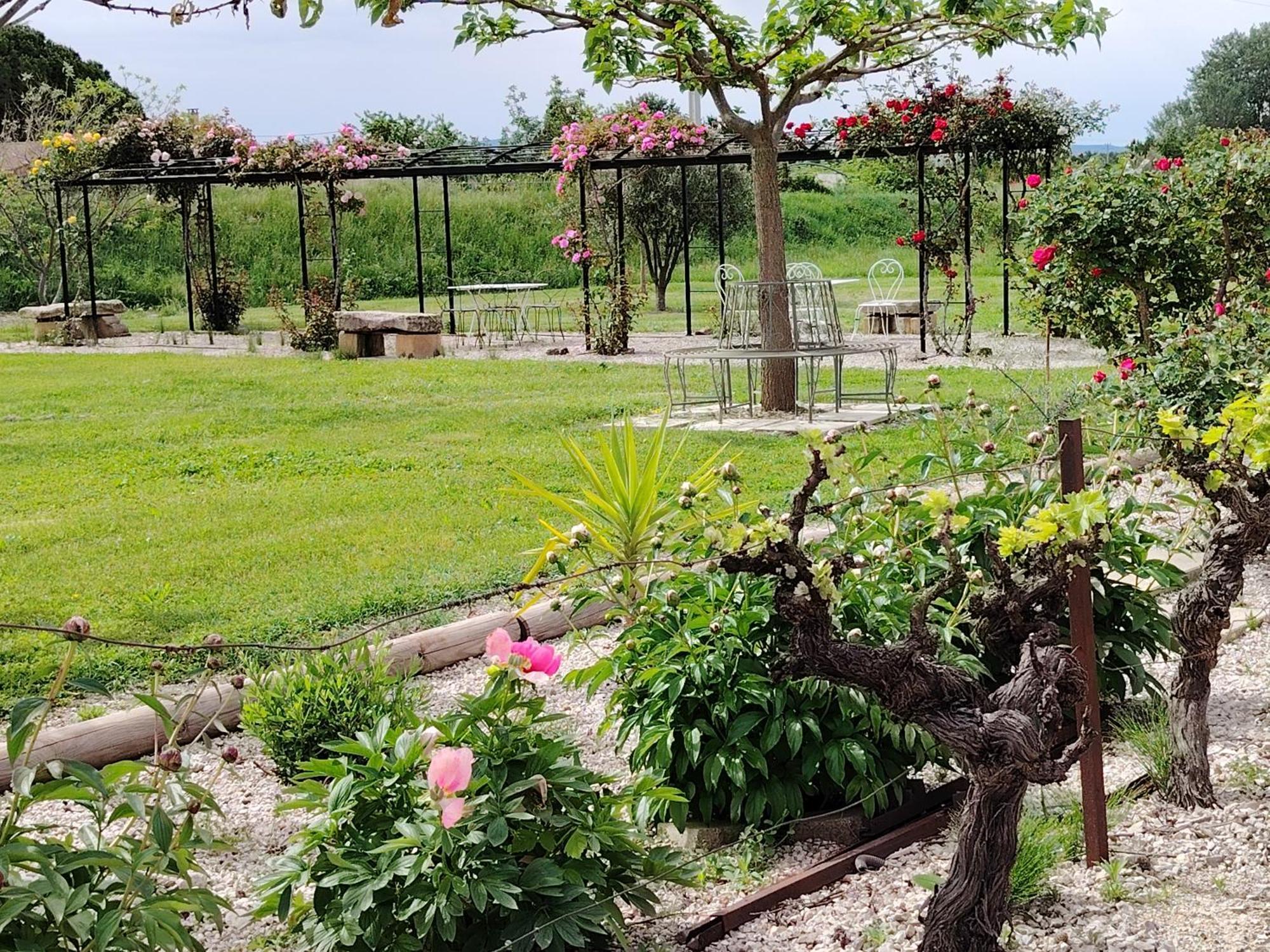 Gite En Provence "Rose" Modene Kültér fotó